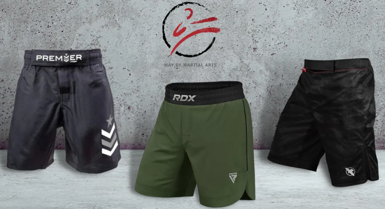 Way of Martial Arts Provides InDepth Expert Guide on MMA Gear and BJJ