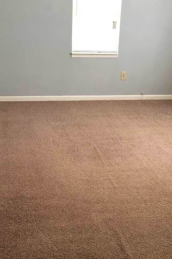 Steam N Fresh Carpet Cleaning Launches New site PLATTE VALLEY